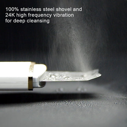 Spatule Visage Pores Nets & Peau Lisse YRENNA